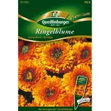 Quedlinburger Ringelblume ''Greenheart orange''