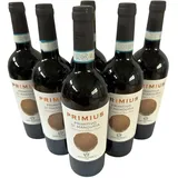 PRIMIUS Primitivo di Manduria DOP 2021 (6 Flaschen) - Cantina San Donaci