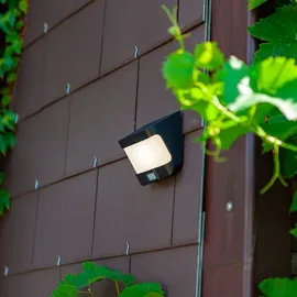 Lutec Solar-Außenwandleuchte Try anthrazit
