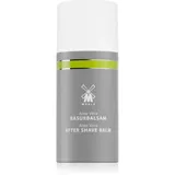 MÜHLE Aloe Vera Lotion 100 ml