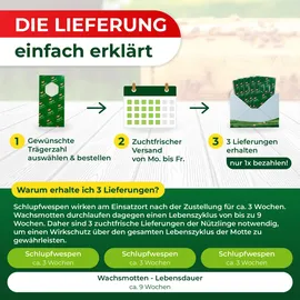 legona-de Schlupfwespen gegen Wachsmotten