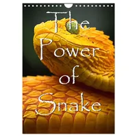 Calvendo The Power Of Snake (Wandkalender 2026 DIN A4