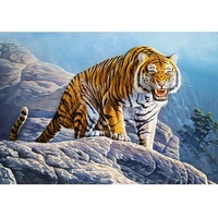 Castorland Tiger on the Rocks B-53346 Puzzel, 500 Teile)
