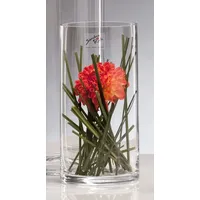 SANDRA RICH Sandra Rich, Vase, Cyli (1 x, 10