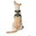 Hunter Divo Hundegeschirr Grün/Grau L-XL