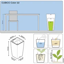 LECHUZA Cubico Color 22 Komplettset 22 x 22 x 41 cm sandbraun