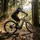 Haibike Alltrack 10 2026 29 Zoll RH 55 cm Unisex blau