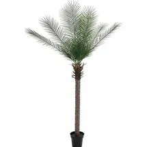 Europalms Phönix deluxe, Kunstpflanze 220cm
