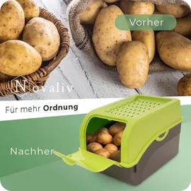Novaliv Aufbewahrungsbox 5L 1-tlg. grün