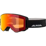 Alpina Skibrille