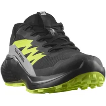 Salomon Herren Alphaglide GTX Schuhe (Größe 42.5 , schwarz)