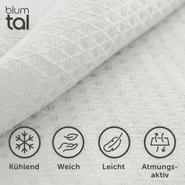 Blumtal Kühldecke 150x200 cm - Bambus Sommerdecke für Sofa - Bett, atmungsaktiv & kühlend – Hellgrau, ideal als Reisedecke- Hellgrau - Hellgrau