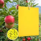 Panngu Gelbfalle Klebrige, KirschmadenFalle Gelbtafeln, Gelbsticker Gelbe Klebrige Papiere für Weiße Fliegen,Blattläuse,Blatt Bergmann, Mücke (50PCS)