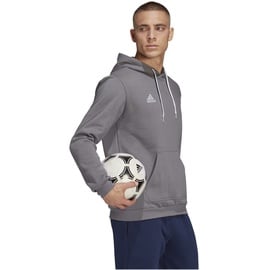 Adidas Entrada 22 Sweat Hoodie Team Grey Four, M