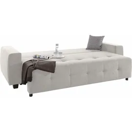Collection AB Schlafsofa, mit Bettfunktion und Bettkasten, inkl. loser Rücken- und Zierkissen silberfarben