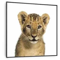 Klarstein Wonderwall Air Art Smart Infrarotheizung Löwe 60x60cm 350W Mehrfarbig
