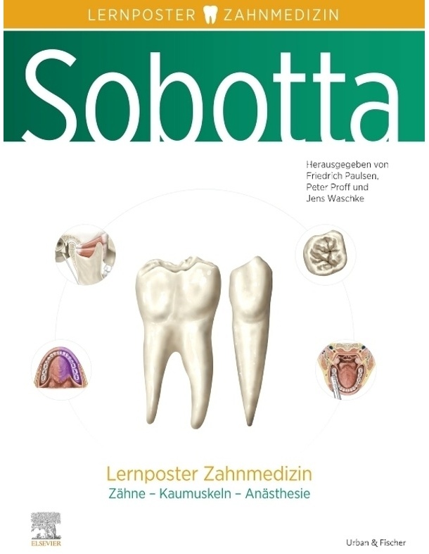 Sobotta Lernposter Zahnmedizin, Poster