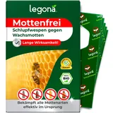 legona-de Schlupfwespen gegen Wachsmotten