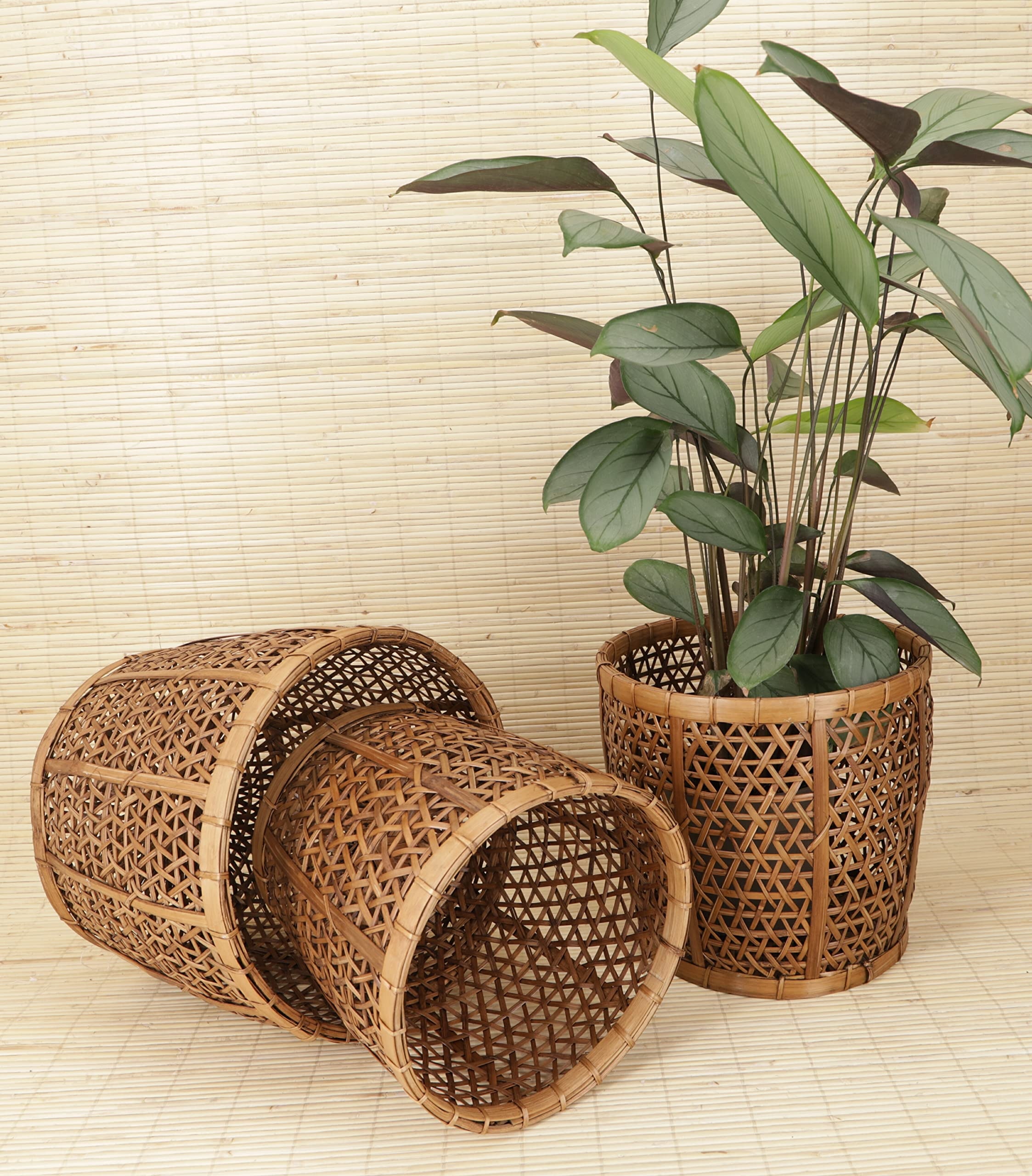 GURU SHOP Rattan Papierkorb, Übertopf, Korb in 3 Größen, Größe: Groß 23,5x27x27 cm, Körbe