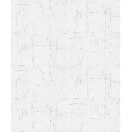Erismann Vliestapete 10320-31 Evolution, Putzstgruktur hellgrau, 10,05 x 0,53 m