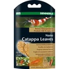 Nano Catappa Leaves