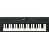 Roland Go:Keys 5 Graphite