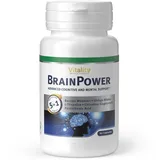 BrainPower - Gehirnvitalstoffe