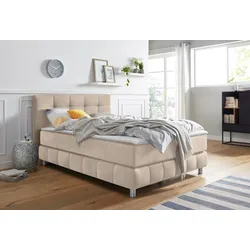 Boxspringbett ANDAS "Salo XXL", beige, B:154cm L:231cm, Komplettbetten, Boxspringbett, in Samtoptik oder Struktur, 6 Breiten in Überlänge 220cm, 4 Härtegrade