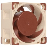 Noctua NF-A4x20 FLX - Gehäuselüfter - 40mm - Braun