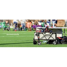 LiTHELi Bollerwagen W1 Pro grün