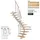 DOLLE Mittelholmtreppe Hamburg 75 cm Buche, geölt/Anthrazit Metall
