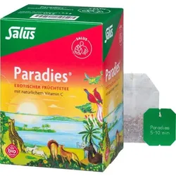 PARADIES Vitamin C-Früchtetee Salus Filterbeutel 15 St
