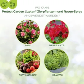 SBM Protect Garden Lizetan Zierpflanzen- & Rosen-Spray AF 500 ml