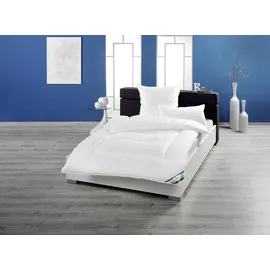 fan Texas-Comforel Kissen 40 x 80 cm Weiß