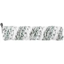 Bissell Reinigungs-Set Non-Freshstart Brushroll für Crosswave Hydrosteam grau