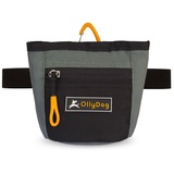 OllyDog Goodie Treat Bag, Leckerlibeutel Hund, Taillengürtelclip für freihändiges Training, Magnetverschluss, Hundetraining und Verhaltenshilfen, Drei Tragevarianten (Wacholder)