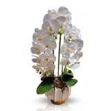 Kunstorchidee PASCH® Orchidee künstlich wie echt in Hochglanz-Keramiktopf Orchidee, PASCH, Hochglanz Keramiktopf
