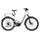 Riese & Müller Delite5 GT pinion 27,5 Zoll RH 51 cm Damen amber