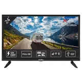 Reflexion LED2425 24" LED Full HD Camping TV
