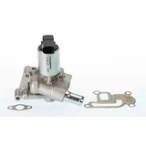 BorgWarner (Wahler) Borgwarner AGR-Ventil elektrisch, mit Dichtung