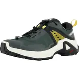 Salomon X Raise Gore-Tex Wanderschuhe grau