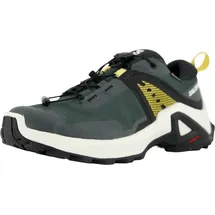 Salomon X Raise Gore-Tex Wanderschuhe grau