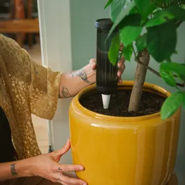 Fiskars Wasserspender 350 ml dunkelgrün