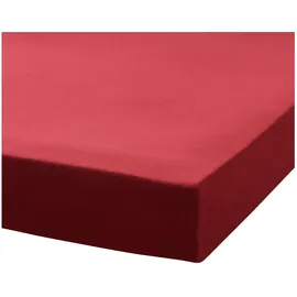 Traumschlaf Spannbettlaken Baumwolle-Jersey 120 x 200 - 130 x 200 cm rot
