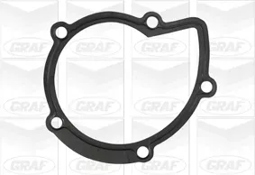GRAF Wasserpumpe pa861 für Ford Volvo Fiat Peugeot