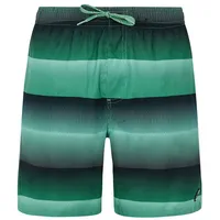 Protest Herren Badeshorts PRTRadar Cactus Green, XXL