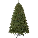 Star Trading Weihnachtsbaum ,Narvik, (210 cm)