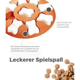 Outward Hound Nina Ottosson Dog Smart