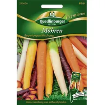 Quedlinburger Möhren Regenbogen Mischung,1 Portion
