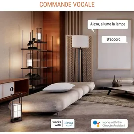 KONYKS Mini-Steckdose 16 A Schwarz